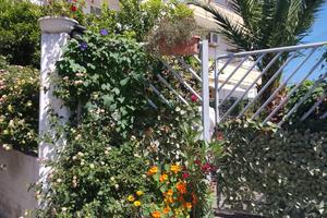 Appartamento piano terra con giardino