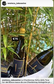 Cadelbosco Selva della tesa 1 bottiglia