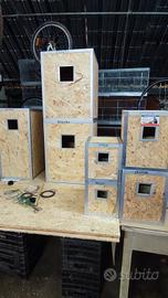 disponibili nidi per pappagalli 