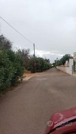 Terreno agricolo edificabile circa mq 8000