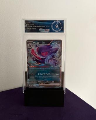 Gennaro EX gradato 9 jp