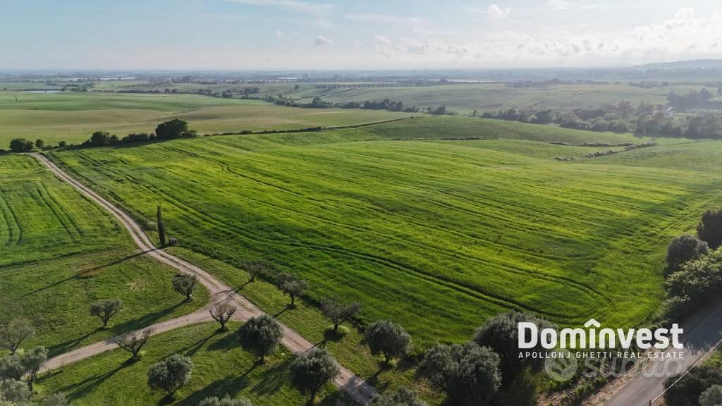 Rustico / Casale di 289 m² a Capalbio - Vista 2