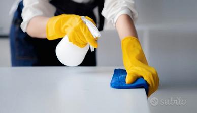 PULIZIE a ORE Disponibilita' Immediata