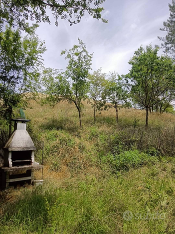 Terreno agricolo con magazzino