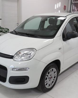 FIAT Panda 1.2 Easy "Solo 64.000 km!!!" Unico Pr