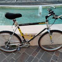 Mountain-bike Alan Carbonio