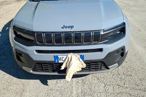 jeep nuovissima con 3100 km