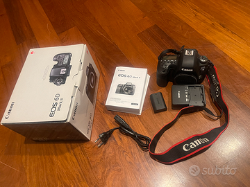 Canon EOS 6D Mark II 1000 scatti