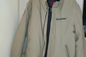 giacca moto dainese