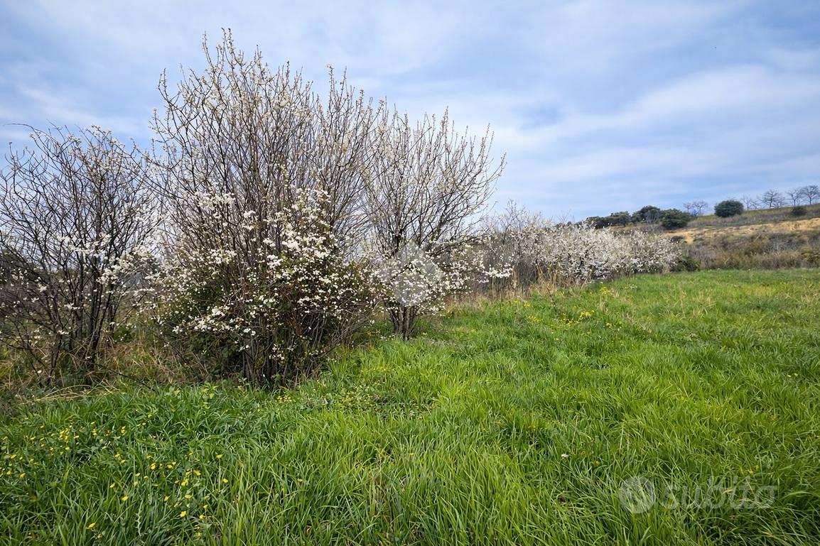 TERRENO A SILVI - Vista 5