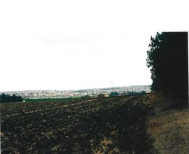 Terreno agricolo a lentini