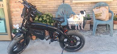 bicicletta elettrica
