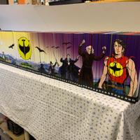 Collezione completa Zagor edizione a colori
