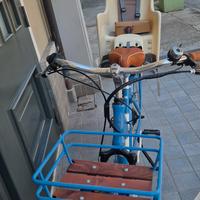 bicicletta elettrica 