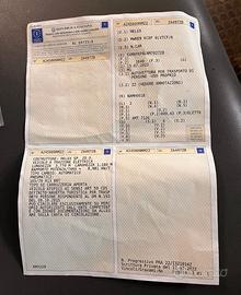 AUTOVETTURA ELETTRICA MELEX