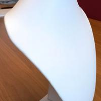 ESPOSITORE per COLLANE