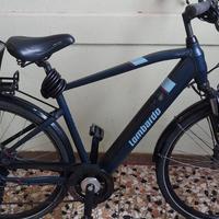 Bici elettrica Lombardo Viterbo