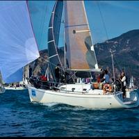 Vela gennaker regata