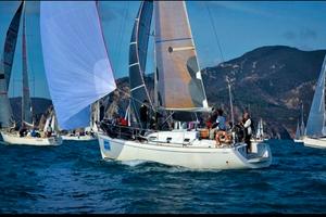 Vela gennaker regata