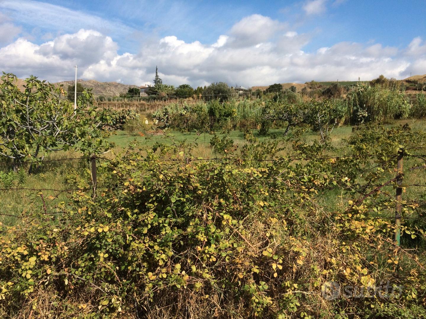 Terreno in zona Pellaro (RC) - Vista 4