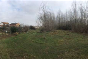 Terreno uso gratuito per un anno