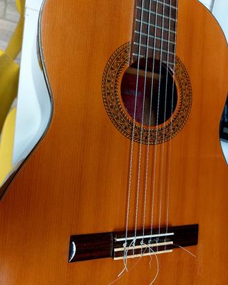 Takeharu Guitar G-85