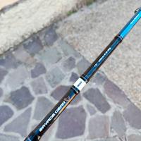 Canna da pesca spinning 