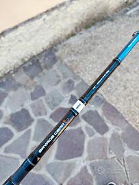 Canna da pesca spinning 