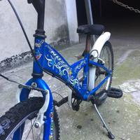 Bicicletta bambino 20