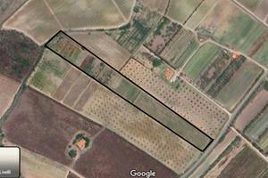 Incantevole Campagna a Muros de Maria, Sorso (SS)