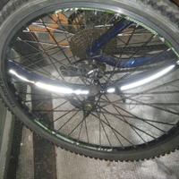 Ruota anteriore 26 Lombardo