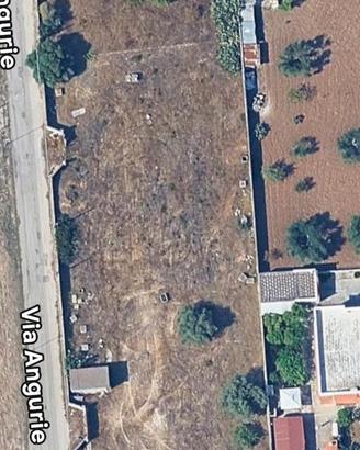 Terreno (3000 mtr quadri) in zona Gandoli