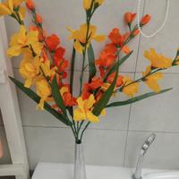 vaso con fiori colorati