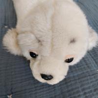 cucciolo di foca peluche