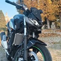 Z 500 MY24- OTTOBRE 2024 PERFETTA
