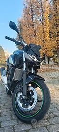 Z 500 MY24- OTTOBRE 2024 PERFETTA