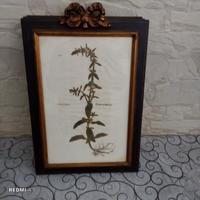 4stampe d epoca 1542