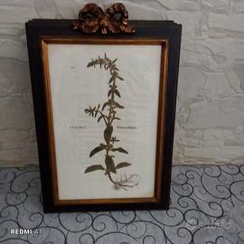 4stampe d epoca 1542