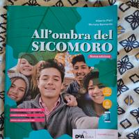 libri liceo classico 