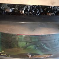 Baule / portellone posteriore Ford Focus cmax 2005