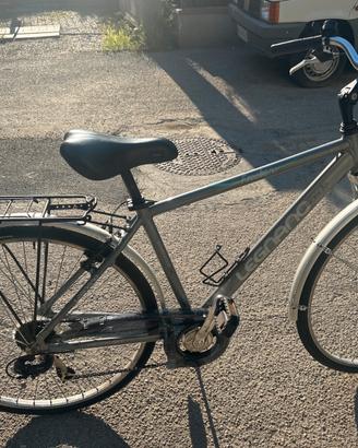 Bicicletta da uomo color argento