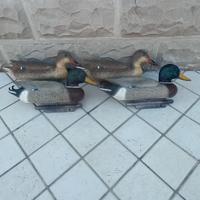 stampi caccia anatre 