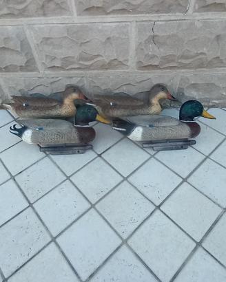 stampi caccia anatre 