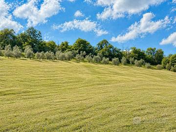 Vendita Terreni Agricoli