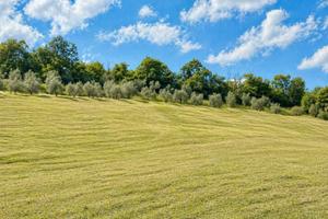 Vendita Terreni Agricoli