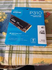 crucial p310 