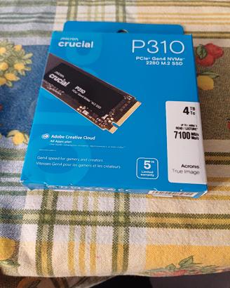 crucial p310 