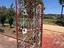Immagine 6