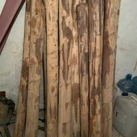 Pali di legno costruzione