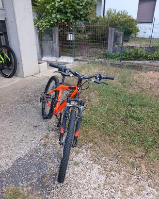 Bicicletta Mountain Bike bambino 